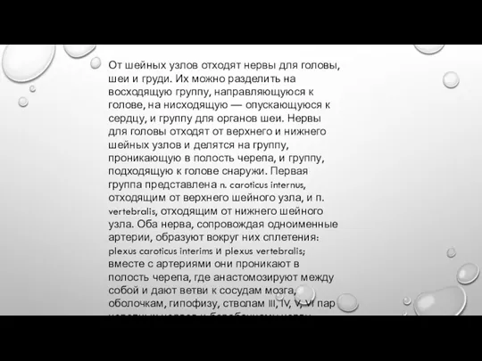 От шейных узлов отходят нервы для головы, шеи и груди.