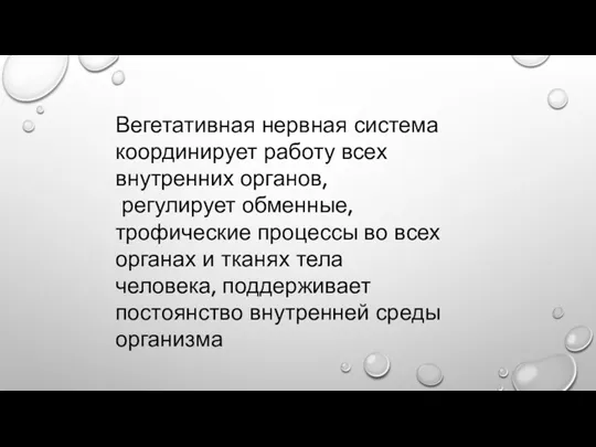 Вегетативная нервная система координирует работу всех внутренних органов, регулирует обменные,