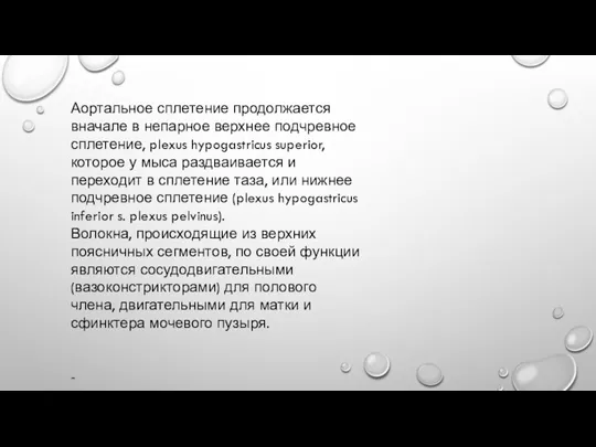 Аортальное сплетение продолжается вначале в непарное верхнее подчревное сплетение, plexus