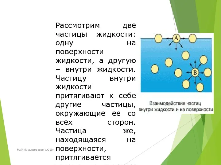 МОУ «Муслюмовская ООШ» Рассмотрим две частицы жидкости: одну на поверхности