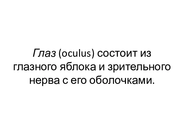 Глаз (oculus) состоит из глазного яблока и зрительного нерва с его оболочками.