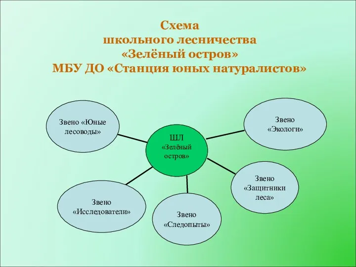 Схема школьного лесничества «Зелёный остров» МБУ ДО «Станция юных натуралистов» Звено «Экологи»