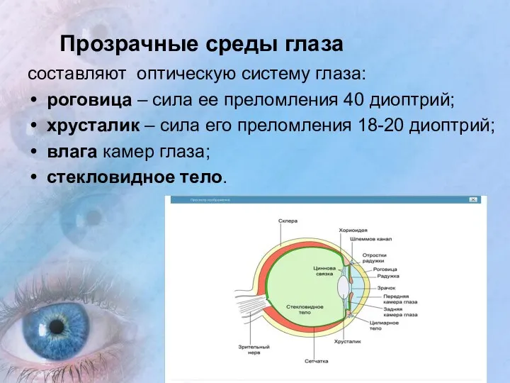 Прозрачные среды глаза составляют оптическую систему глаза: роговица – сила