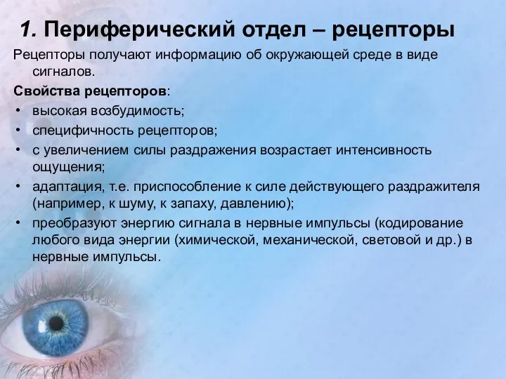 1. Периферический отдел – рецепторы Рецепторы получают информацию об окружающей