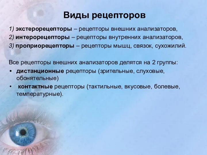 Виды рецепторов 1) экстерорецепторы – рецепторы внешних анализаторов, 2) интерорецепторы