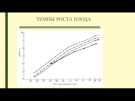 ТЕМПЫ РОСТА ПЛОДА