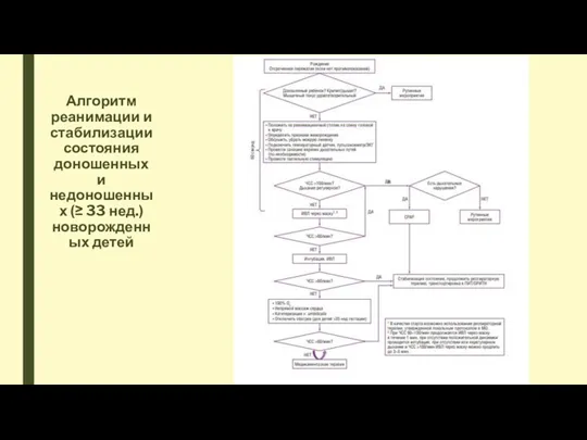 Алгоритм реанимации и стабилизации состояния доношенных и недоношенных (≥ 33 нед.) новорожденных детей