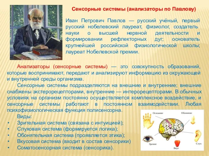 Анализаторы (сенсорные системы) — это совокупность образований, которые воспринимают, передают