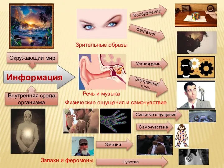 Информация Воображение Фантазия Устная речь Внутренняя речь Окружающий мир Внутренняя