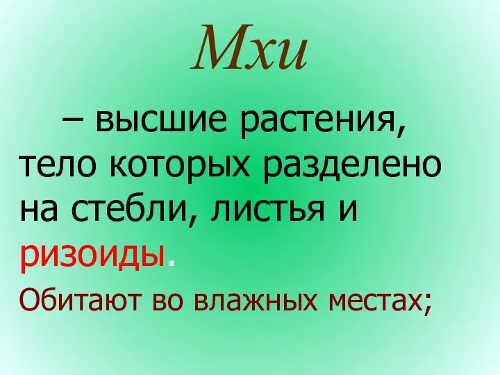 Мхи – высшие растения, тело которых разделено на стебли, листья и ризоиды. Обитают во влажных местах;