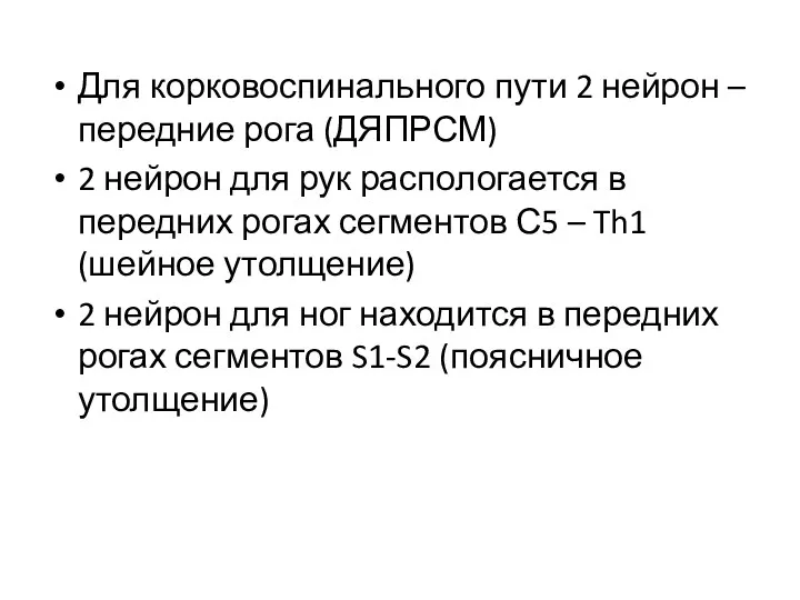 Для корковоспинального пути 2 нейрон – передние рога (ДЯПРСМ) 2