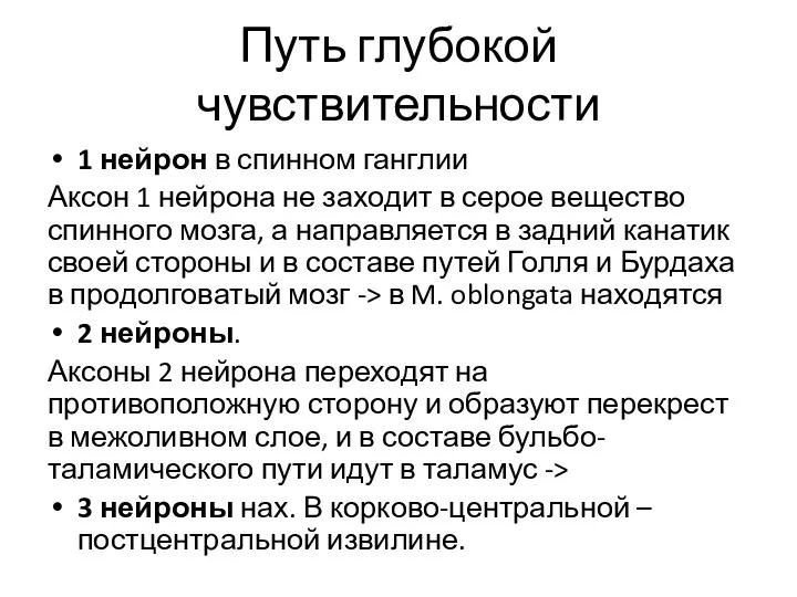 Путь глубокой чувствительности 1 нейрон в спинном ганглии Аксон 1 нейрона не заходит