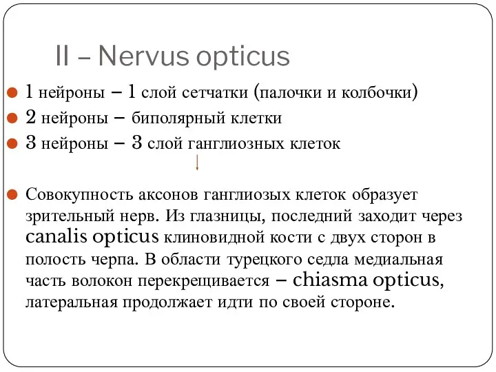 II – Nervus opticus 1 нейроны – 1 слой сетчатки (палочки и колбочки)
