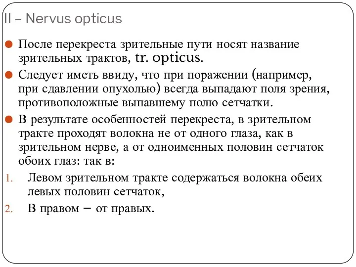 II – Nervus opticus После перекреста зрительные пути носят название зрительных трактов, tr.