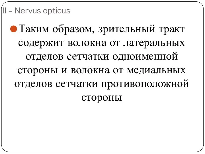 II – Nervus opticus Таким образом, зрительный тракт содержит волокна от латеральных отделов