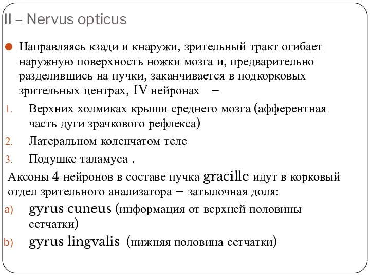 II – Nervus opticus Направляясь кзади и кнаружи, зрительный тракт