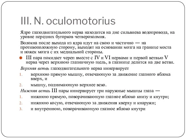 III. N. oculomotorius Ядро глазодвигательного нерва находится на дне сильвиева водопровода, на уровне