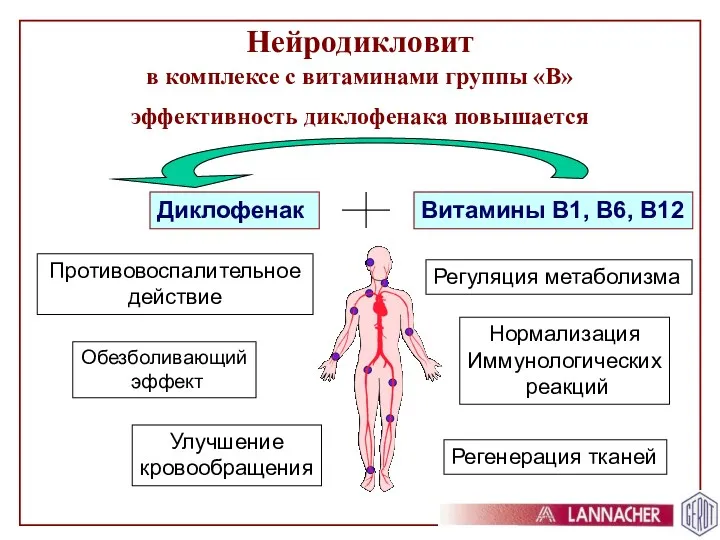 Нейродикловит в комплексе с витаминами группы «В» эффективность диклофенака повышается