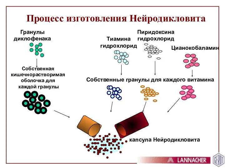 Процесс изготовления Нейродикловита Гранулы диклофенака Тиамина гидрохлорид Пиридоксина гидрохлорид Цианокобаламин