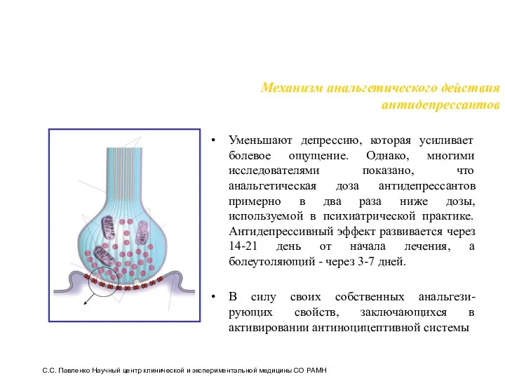 Механизм анальгетического действия антидепрессантов Уменьшают депрессию, которая усиливает болевое ощущение.