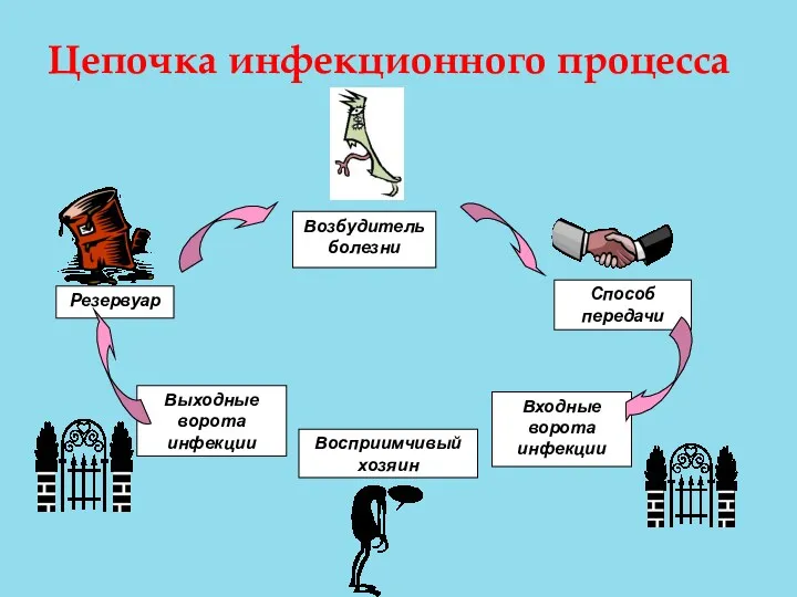 Цепочка инфекционного процесса Восприимчивый хозяин Возбудитель болезни Резервуар Входные ворота инфекции Способ передачи Выходные ворота инфекции