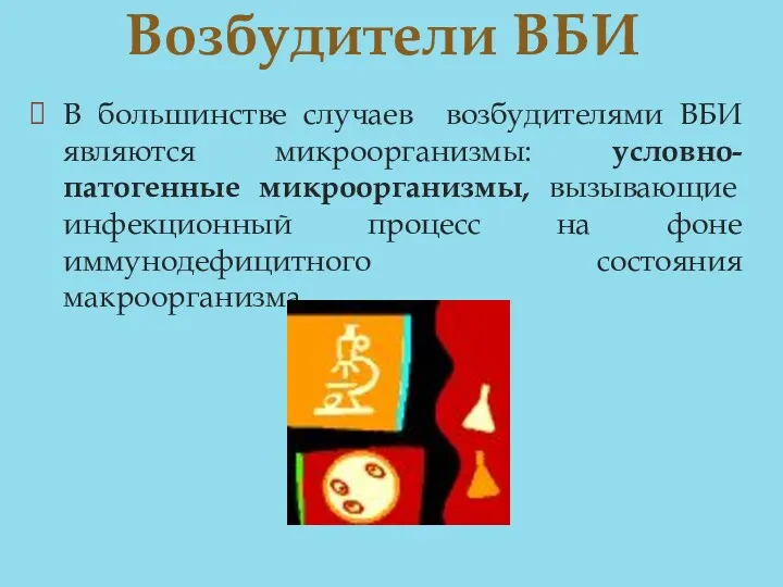 В большинстве случаев возбудителями ВБИ являются микроорганизмы: условно-патогенные микроорганизмы, вызывающие