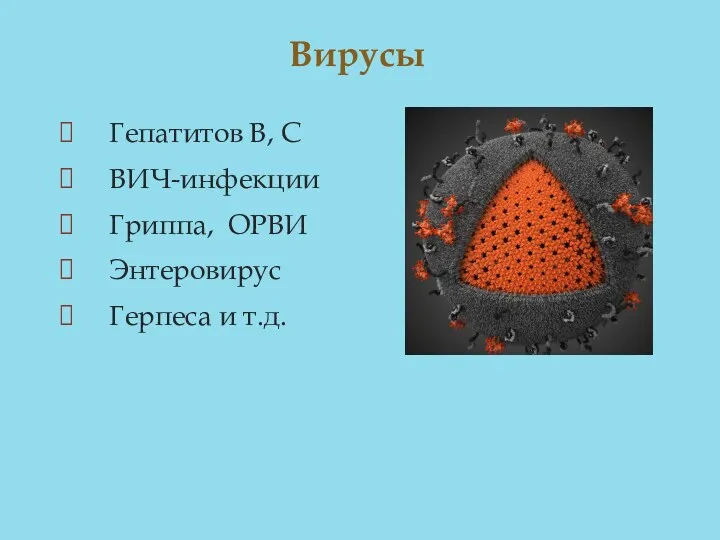 Гепатитов В, С ВИЧ-инфекции Гриппа, ОРВИ Энтеровирус Герпеса и т.д. Вирусы