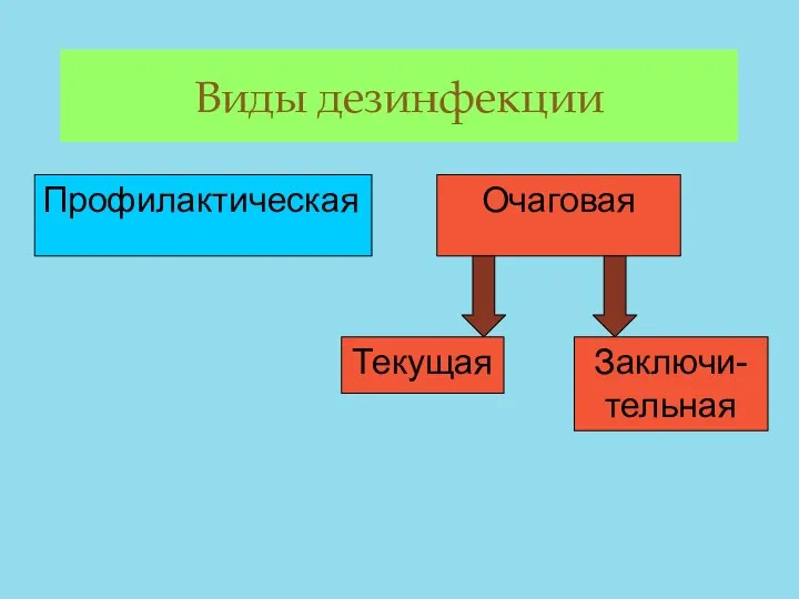 Виды дезинфекции Профилактическая Очаговая Текущая Заключи-тельная