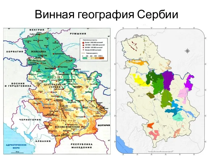 Винная география Сербии