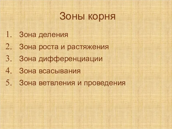 Зоны корня Зона деления Зона роста и растяжения Зона дифференциации Зона всасывания Зона ветвления и проведения