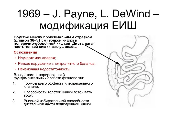 1969 – J. Payne, L. DeWind – модификация ЕИШ Соустье между проксимальным отрезком