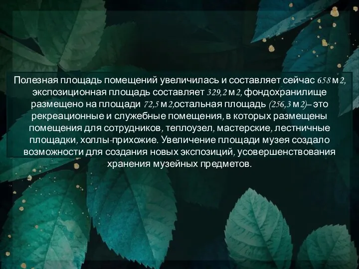 Полезная площадь помещений увеличилась и составляет сейчас 658 м2, экспозиционная площадь составляет 329,2