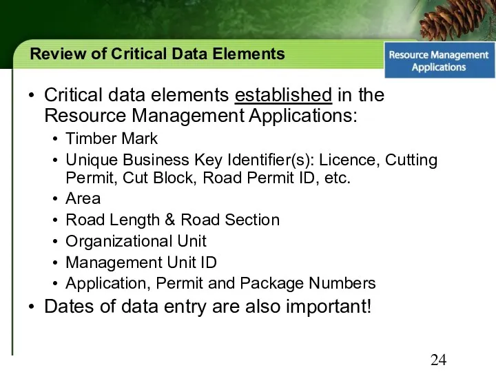 Review of Critical Data Elements Critical data elements established in the Resource Management
