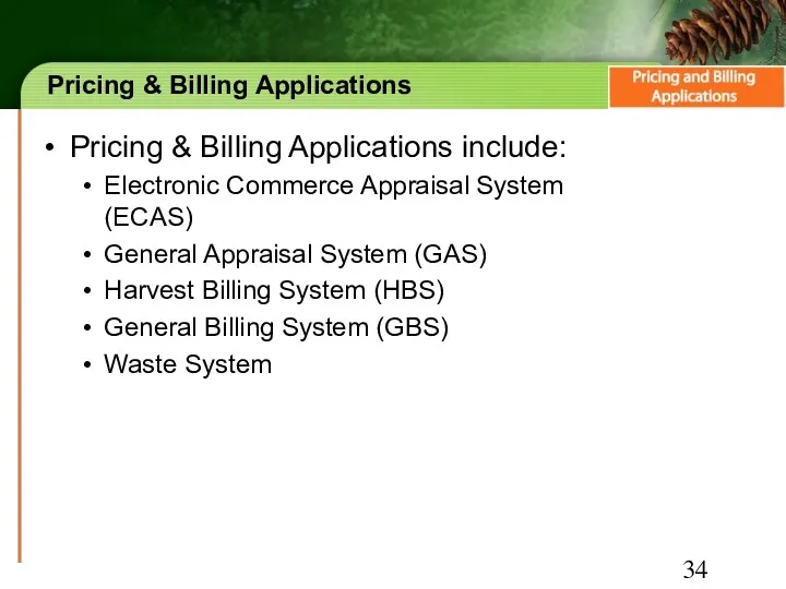 Pricing & Billing Applications Pricing & Billing Applications include: Electronic Commerce Appraisal System