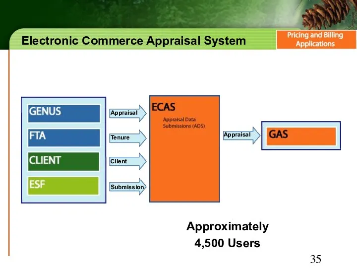 Electronic Commerce Appraisal System Approximately 4,500 Users Appraisal Tenure Client Submission Appraisal