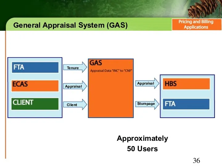 General Appraisal System (GAS) Approximately 50 Users Tenure Appraisal Client Appraisal Stumpage