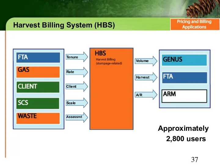 Harvest Billing System (HBS) Approximately 2,800 users Rate Tenure Client Scale Harvest Volume A/R Assessmt