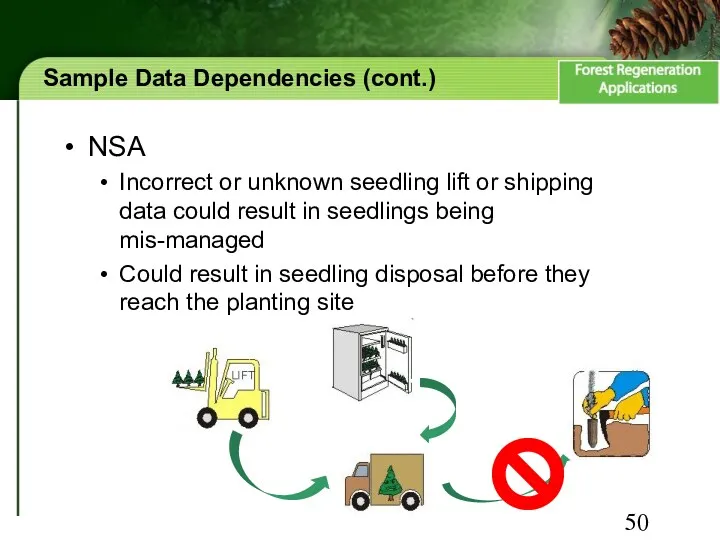 Sample Data Dependencies (cont.) NSA Incorrect or unknown seedling lift or shipping data