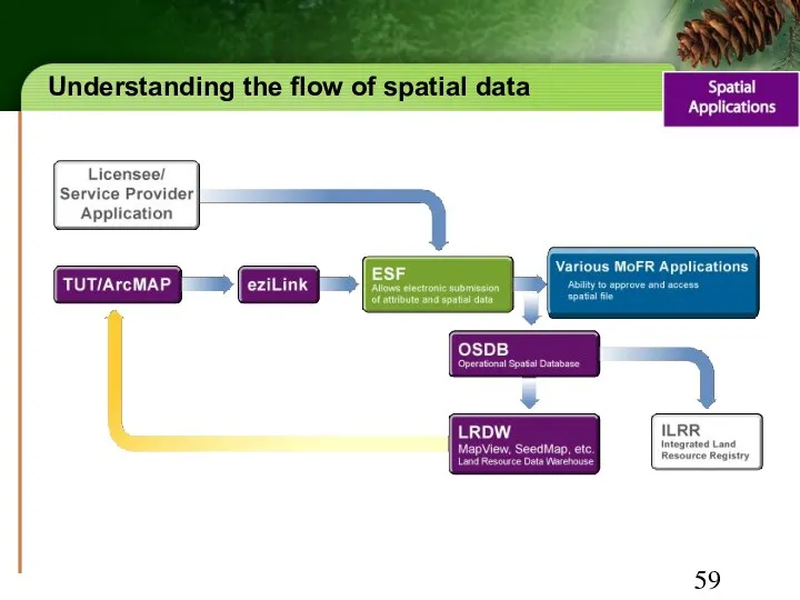 Understanding the flow of spatial data