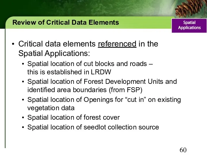 Review of Critical Data Elements Critical data elements referenced in the Spatial Applications: