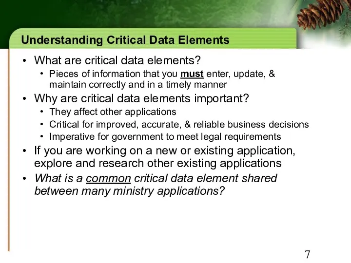 Understanding Critical Data Elements What are critical data elements? Pieces