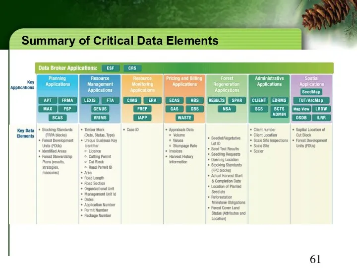 Summary of Critical Data Elements