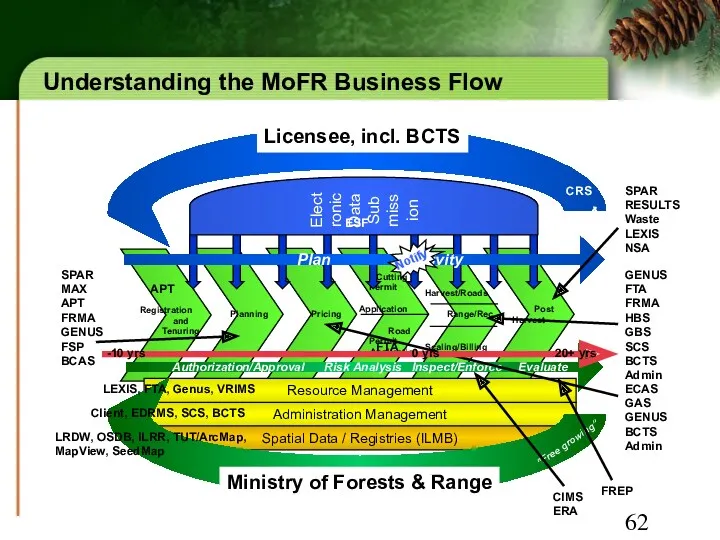 Understanding the MoFR Business Flow Registration and Tenuring Planning Pricing Post Harvest Administration