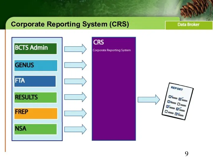 Corporate Reporting System (CRS)