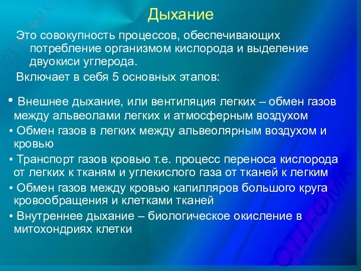 Дыхание Это совокупность процессов, обеспечивающих потребление организмом кислорода и выделение