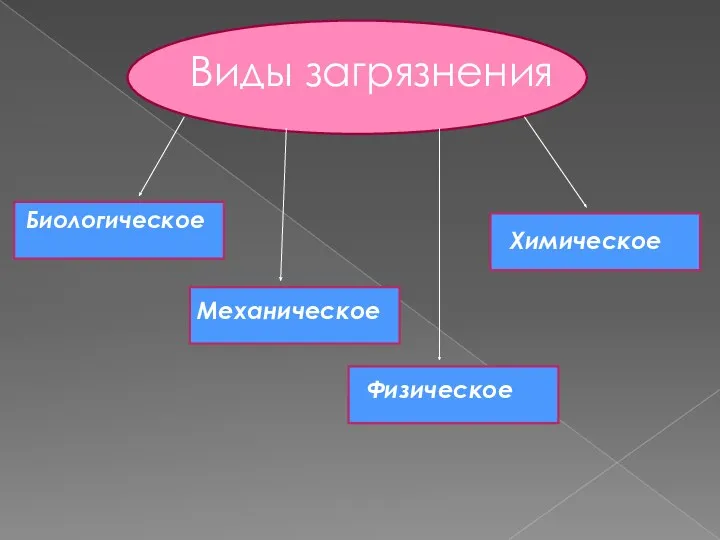 Виды загрязнения Биологическое Механическое Физическое Химическое