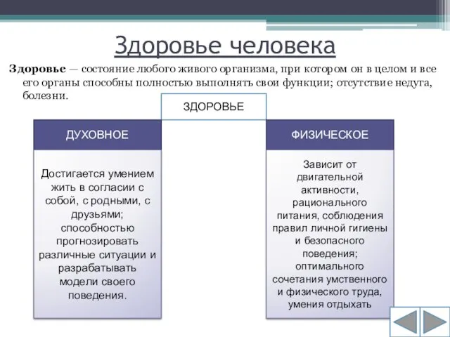 Здоровье человека Здоровье — состояние любого живого организма, при котором