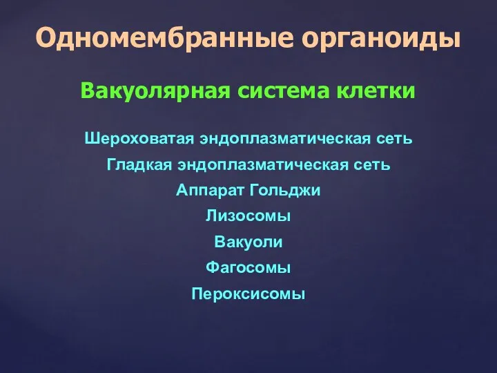 Одномембранные органоиды Шероховатая эндоплазматическая сеть Гладкая эндоплазматическая сеть Аппарат Гольджи