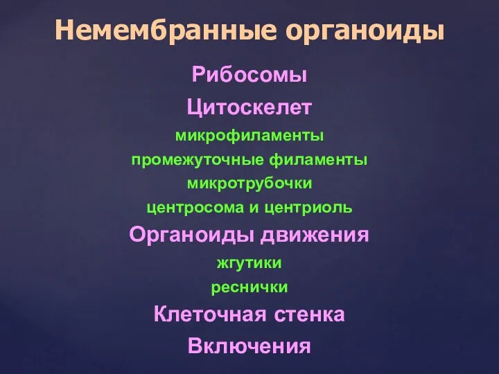 Немембранные органоиды Рибосомы Цитоскелет микрофиламенты промежуточные филаменты микротрубочки центросома и