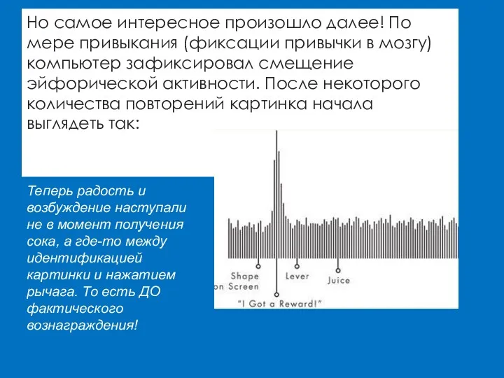 Но самое интересное произошло далее! По мере привыкания (фиксации привычки